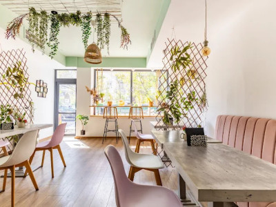 🌿 Predare Afacere - HoReCa - Sublimmme | Unirii - Centru Vechi - Splai 